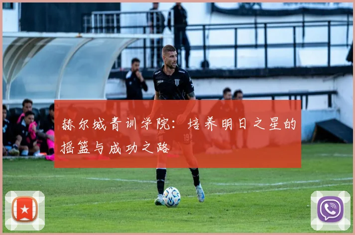 赫尔城青训学院:培养明日之星的摇篮与成功之路