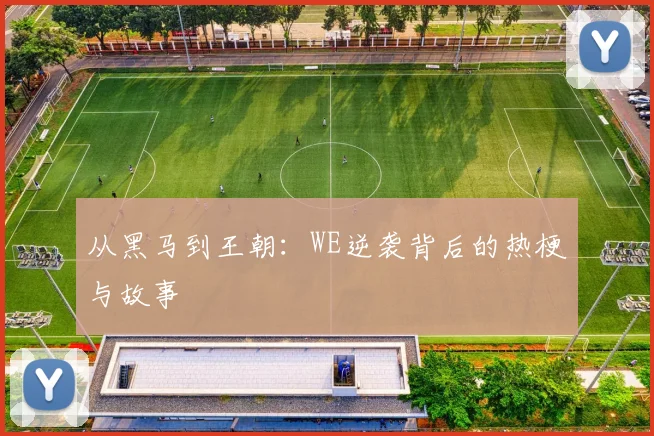 从黑马到王朝：WE逆袭背后的热梗与故事